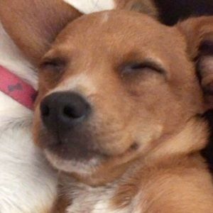 Meet your Posher, Edith